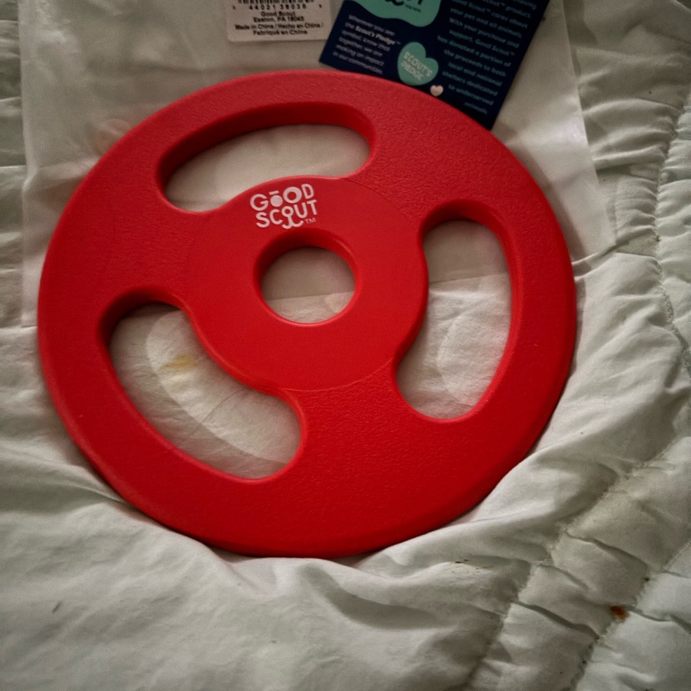 Red Dog Toy